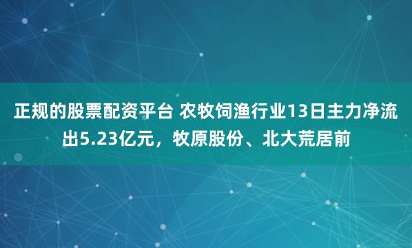 正规的股票配资平台 农牧饲渔行业13日主力净流出5.23亿元，牧原股份、北大荒居前