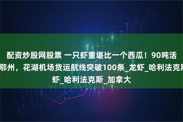 配资炒股网股票 一只虾重堪比一个西瓜！90吨活波龙运抵鄂州，花湖机场货运航线突破100条_龙虾_哈利法克斯_加拿大
