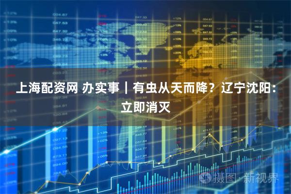 上海配资网 办实事｜有虫从天而降？辽宁沈阳：立即消灭