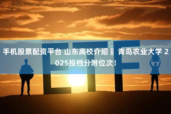 手机股票配资平台 山东高校介绍‖ 青岛农业大学 2025投档分附位次！